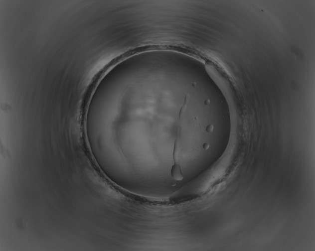 X0000090981071200708021453