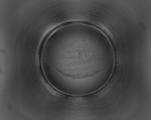 X0000090981072200708021453