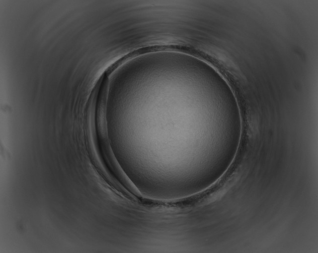 X0000090981073200708021453