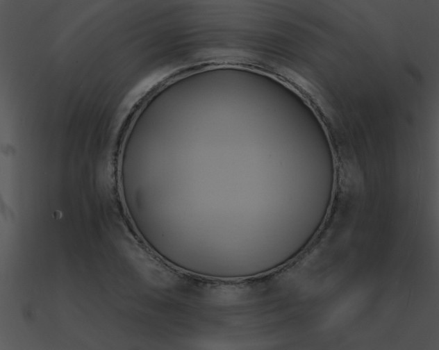 X0000090981074200708021453