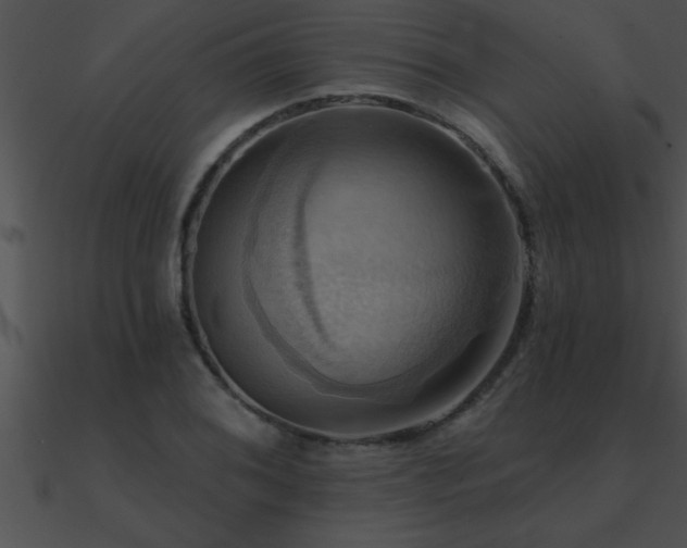 X0000090981076200708021453