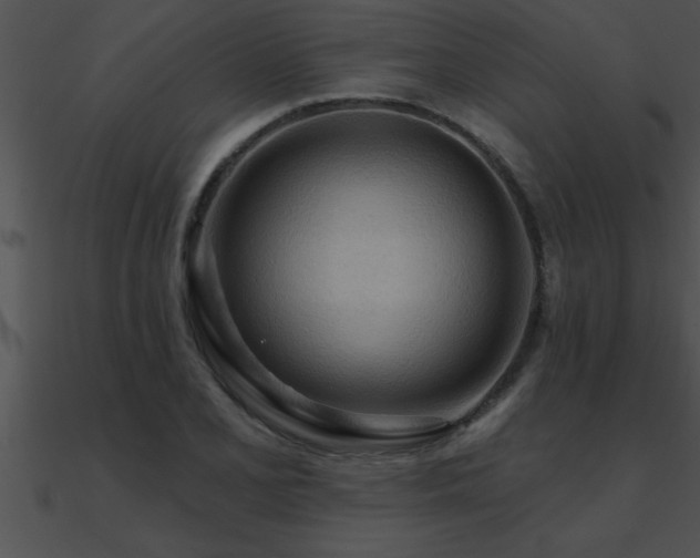 X0000090981077200708021453