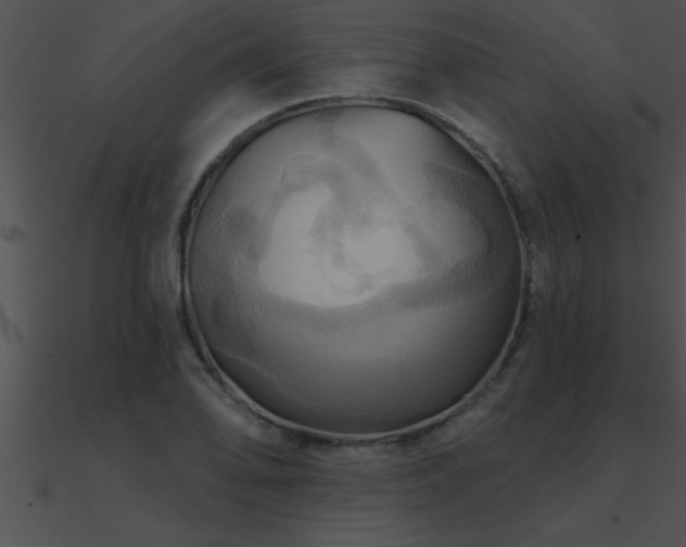 X0000090981078200708021453