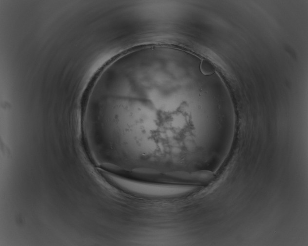 X0000090981079200708021453