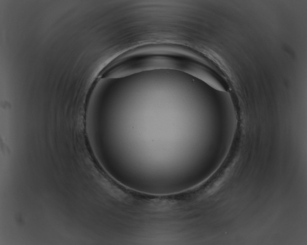 X0000090981081200708021453