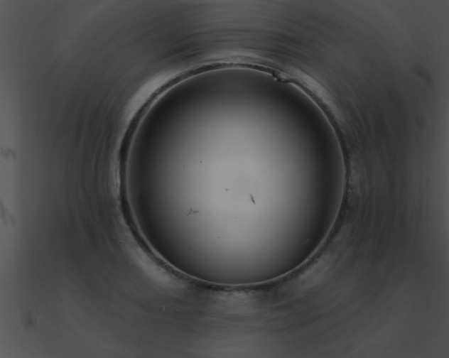 X0000090981082200708021453
