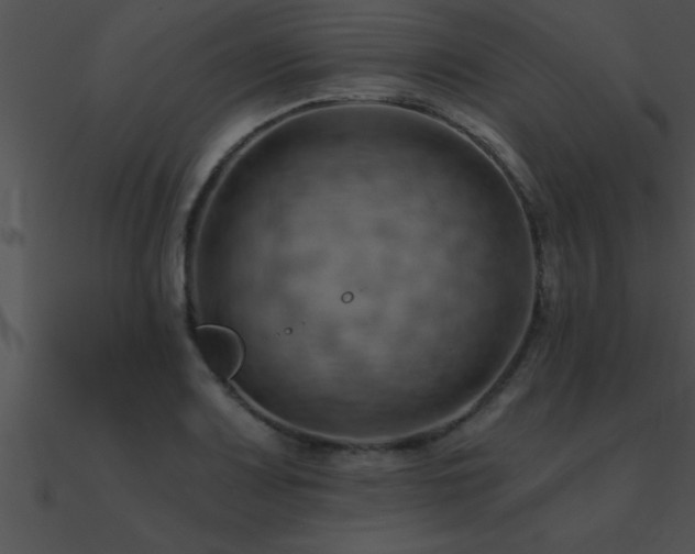 X0000090981083200708021453