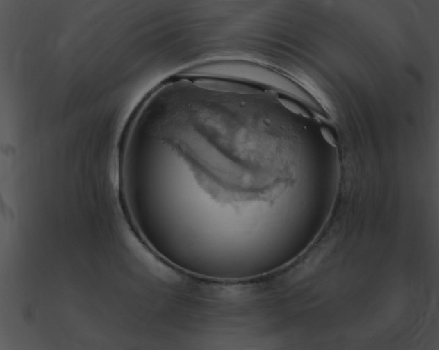 X0000090981084200708021453