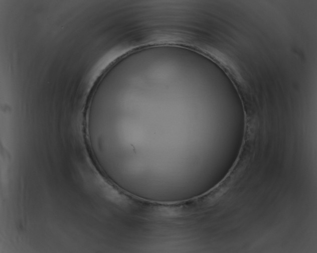 X0000090981086200708021453