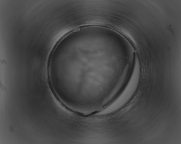 X0000090981087200708021453