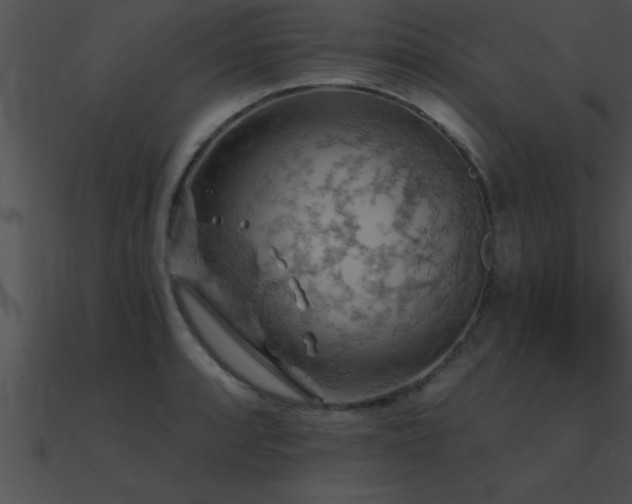 X0000090981088200708021453