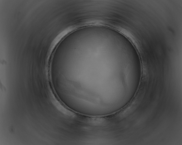 X0000090981090200708021453