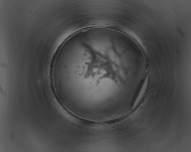 X0000090981091200708021453