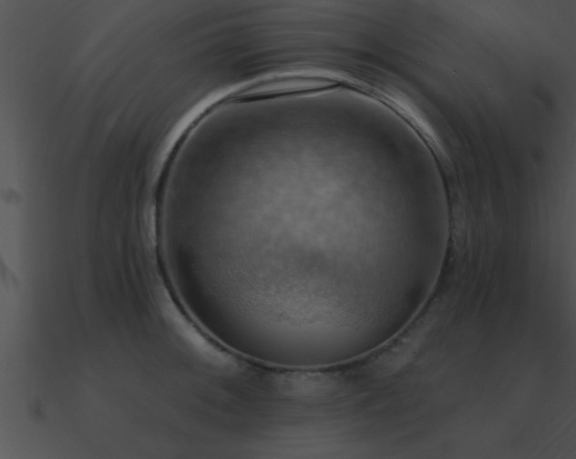 X0000090981092200708021453
