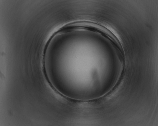 X0000090981093200708021453