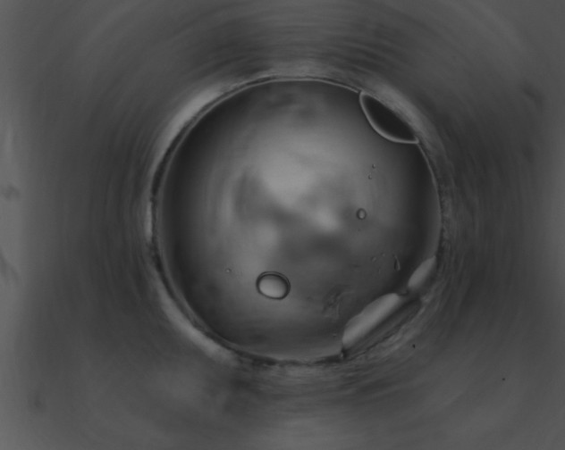 X0000090981095200708021453