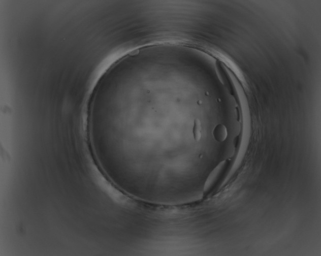 X0000090981099200708021453