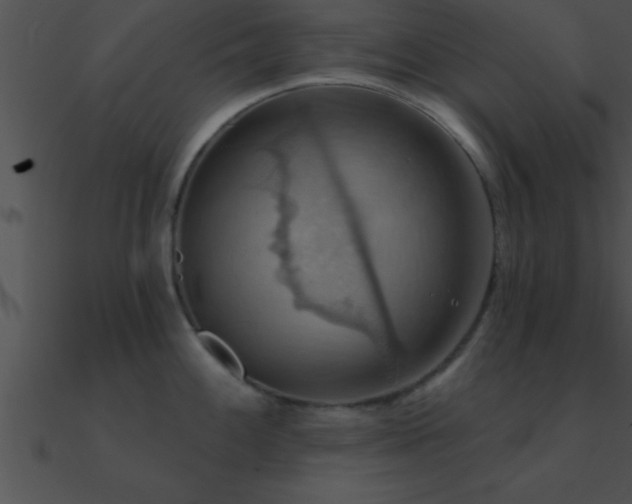 X0000090981100200708021453