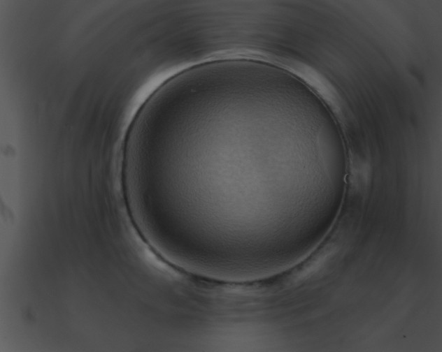 X0000090981102200708021453