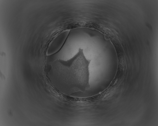X0000090981105200708021452