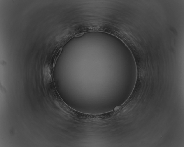 X0000090981106200708021452
