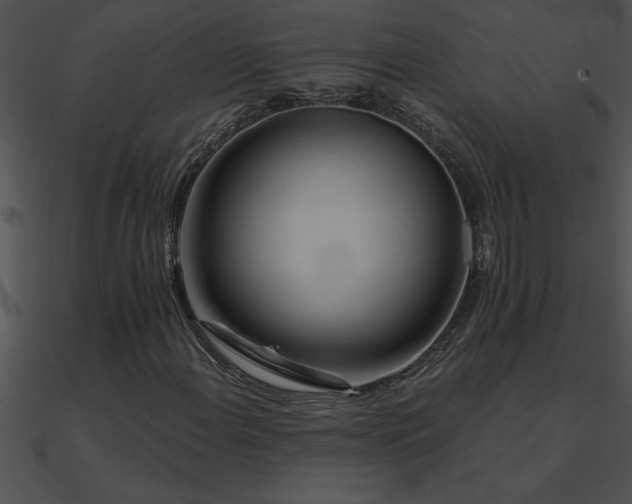 X0000090981108200708021452