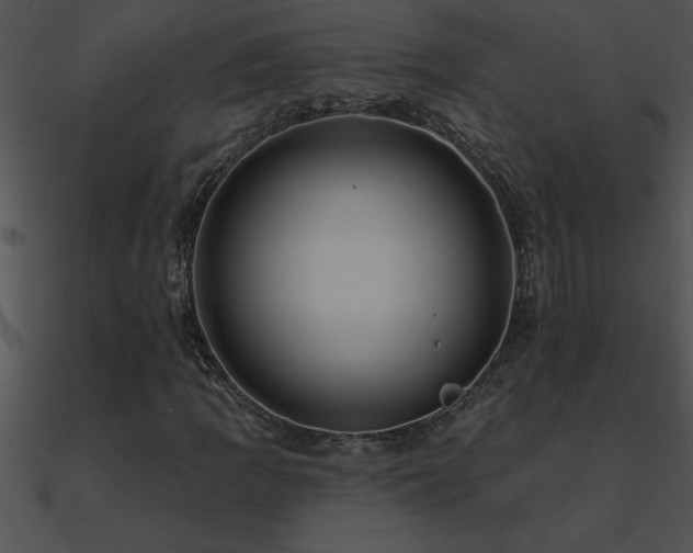 X0000090981109200708021452