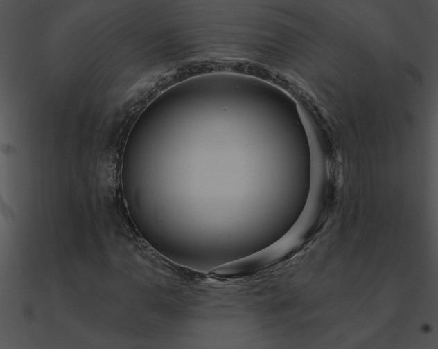 X0000090981110200708021452
