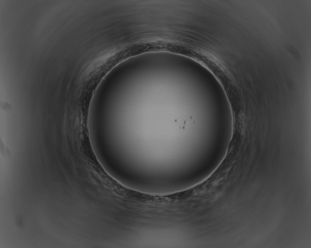 X0000090981111200708021452
