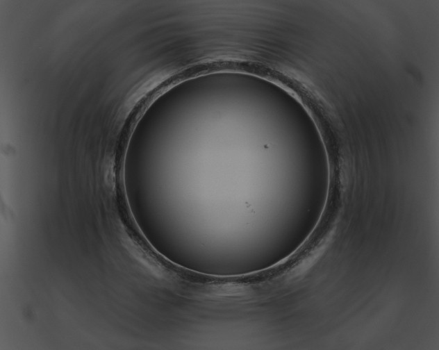 X0000090981113200708021452