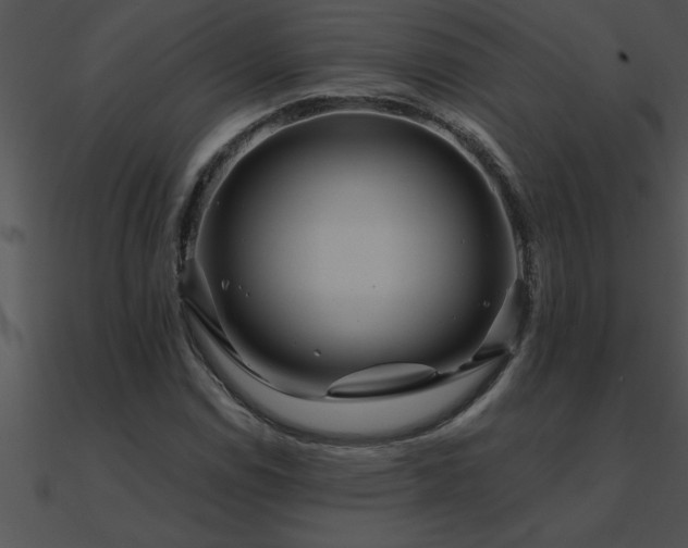 X0000090981114200708021452