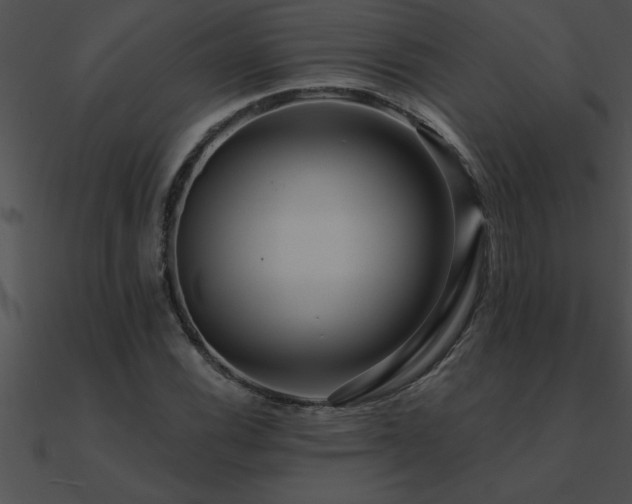 X0000090981116200708021452