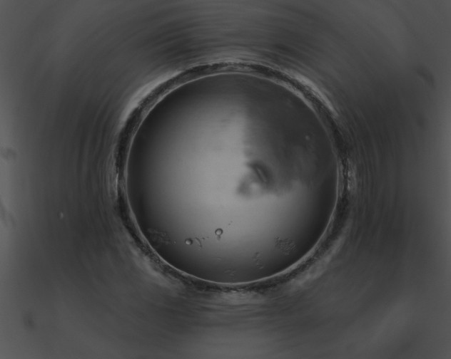 X0000090981117200708021452