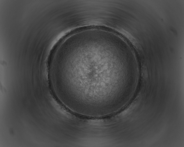 X0000090981118200708021452