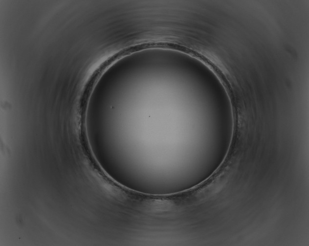 X0000090981119200708021452
