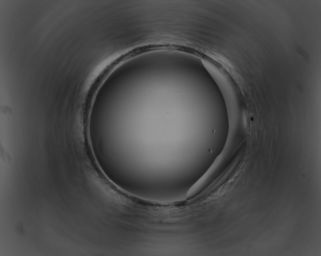 X0000090981120200708021452