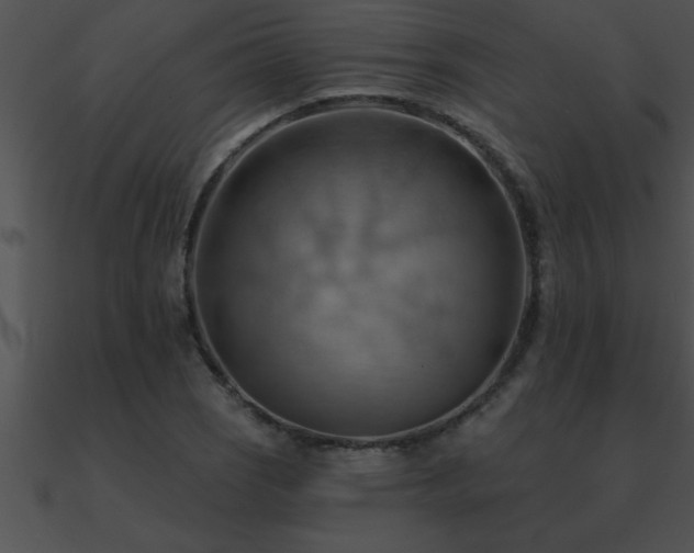 X0000090981121200708021452