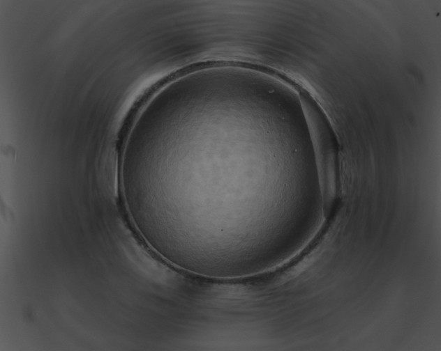 X0000090981123200708021453