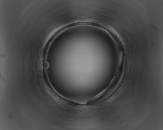 X0000090981124200708021453