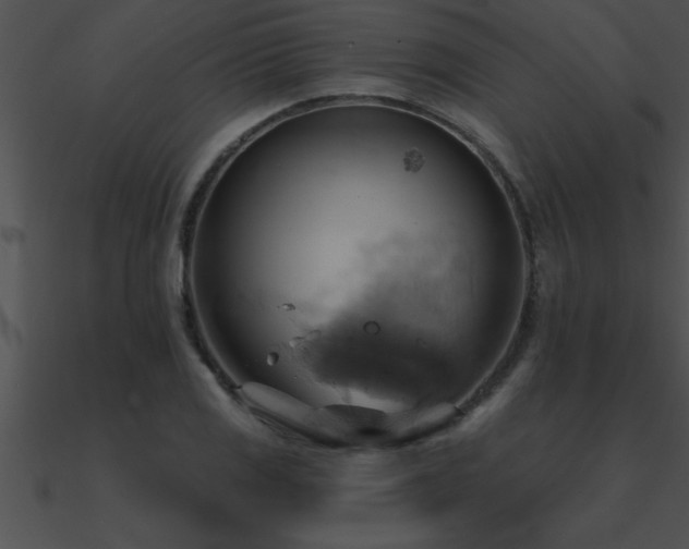 X0000090981125200708021453