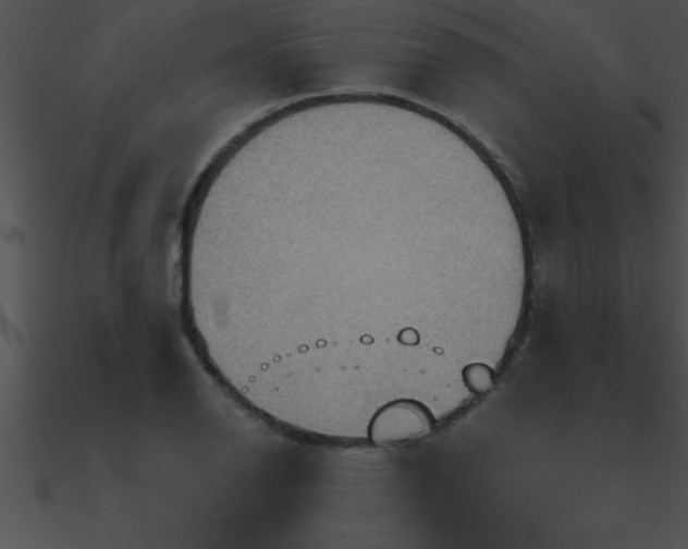 X0000090981126200708021453