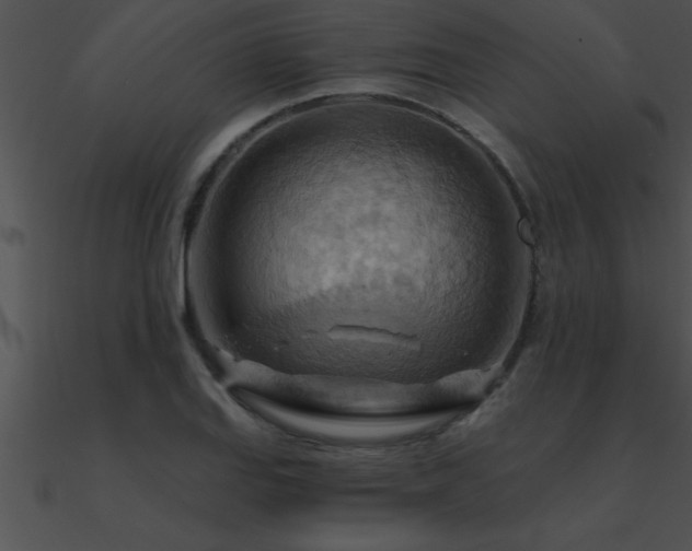 X0000090981127200708021453