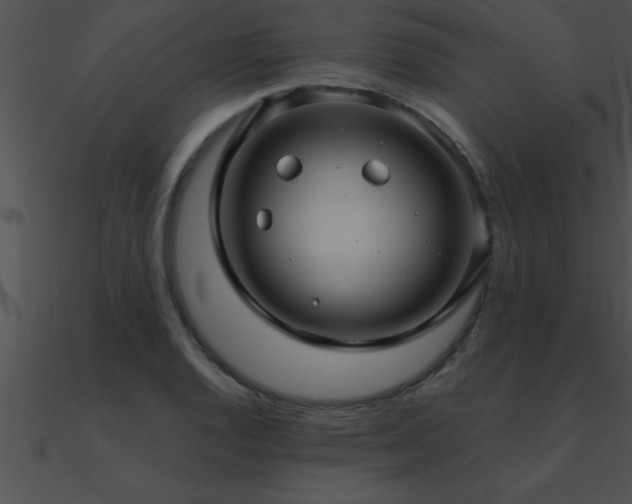 X0000090981128200708021453