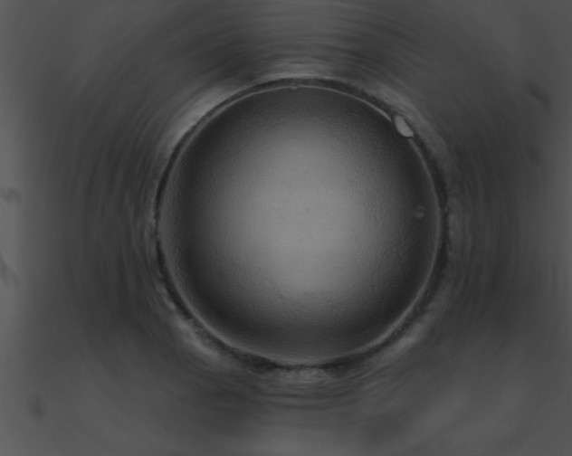X0000090981129200708021453