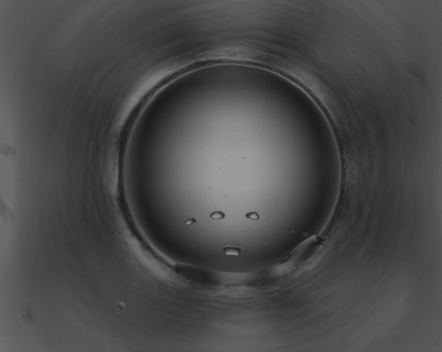 X0000090981131200708021453