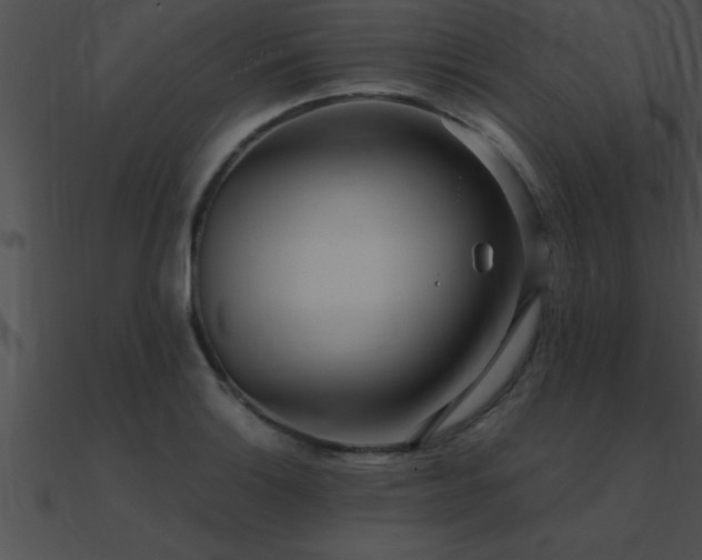 X0000090981132200708021453