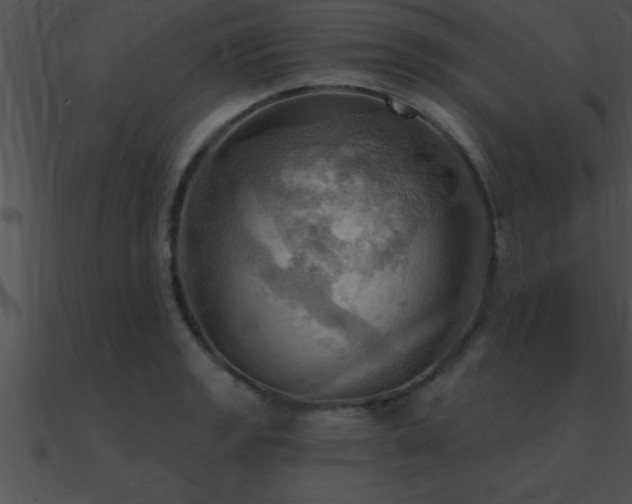 X0000090981133200708021453