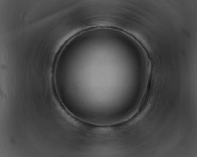 X0000090981134200708021453