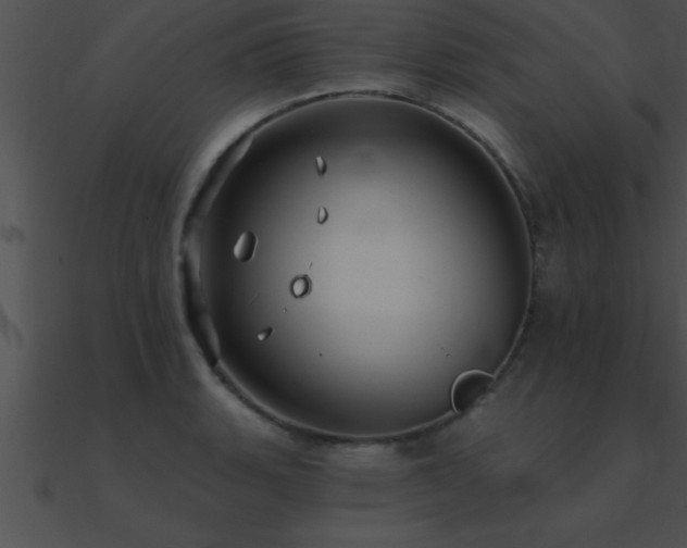 X0000090981135200708021453