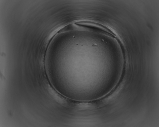 X0000090981137200708021453
